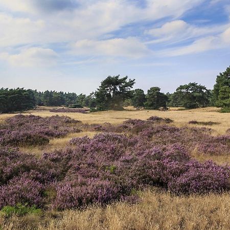 Chalet Op De Veluwe # Berk بوتِنْ المظهر الخارجي الصورة