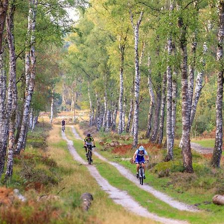 Chalet Op De Veluwe # Berk بوتِنْ المظهر الخارجي الصورة