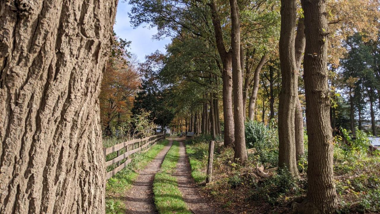 Chalet Op De Veluwe # Berk بوتِنْ المظهر الخارجي الصورة