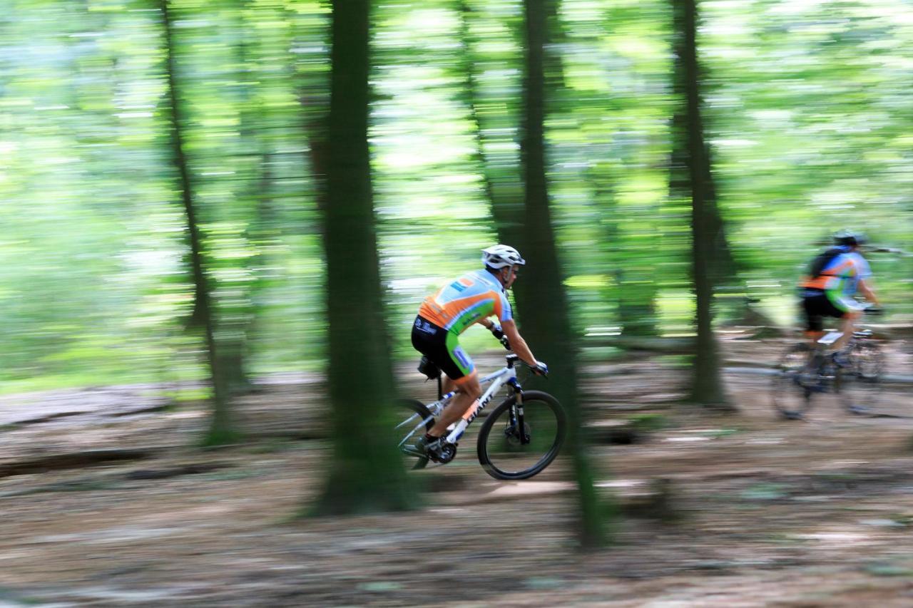 Chalet Op De Veluwe # Berk بوتِنْ المظهر الخارجي الصورة