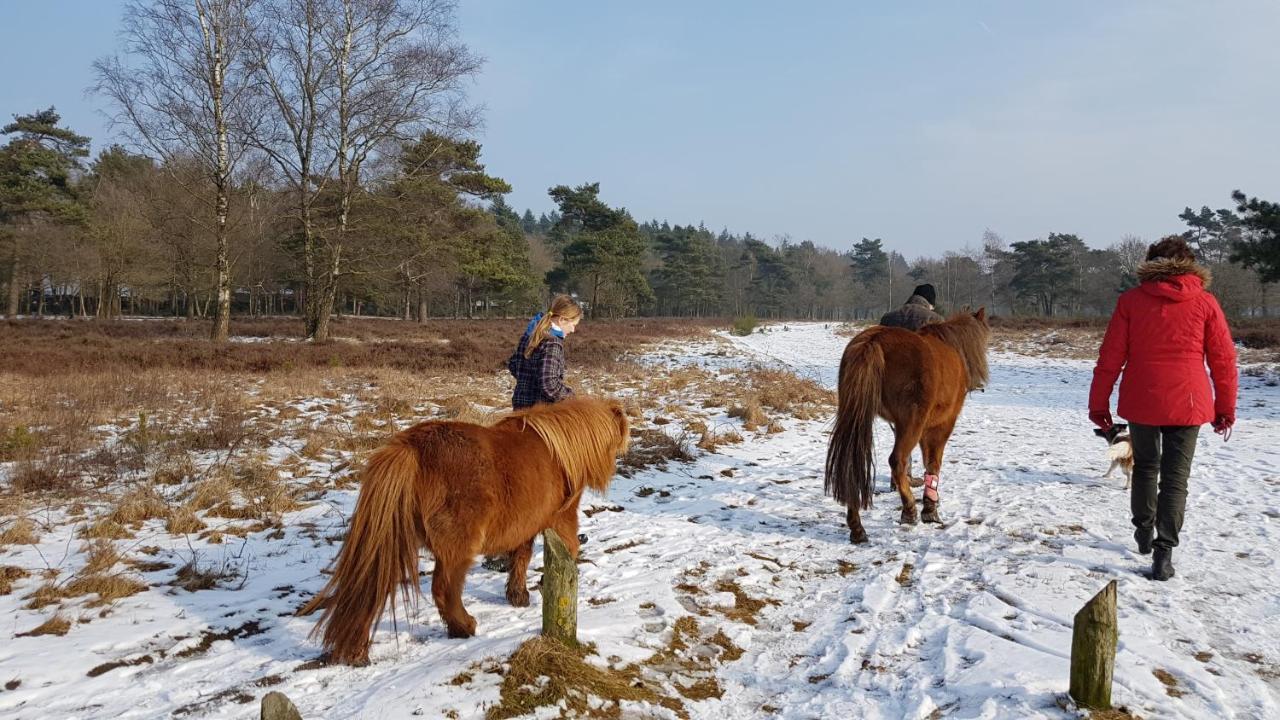 Chalet Op De Veluwe # Berk بوتِنْ المظهر الخارجي الصورة