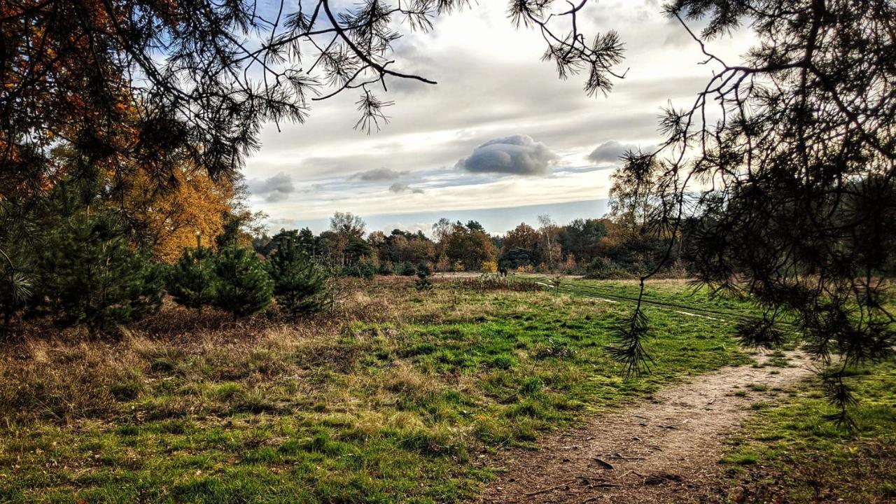 Chalet Op De Veluwe # Berk بوتِنْ المظهر الخارجي الصورة