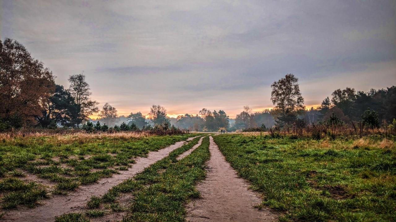 Chalet Op De Veluwe # Berk بوتِنْ المظهر الخارجي الصورة