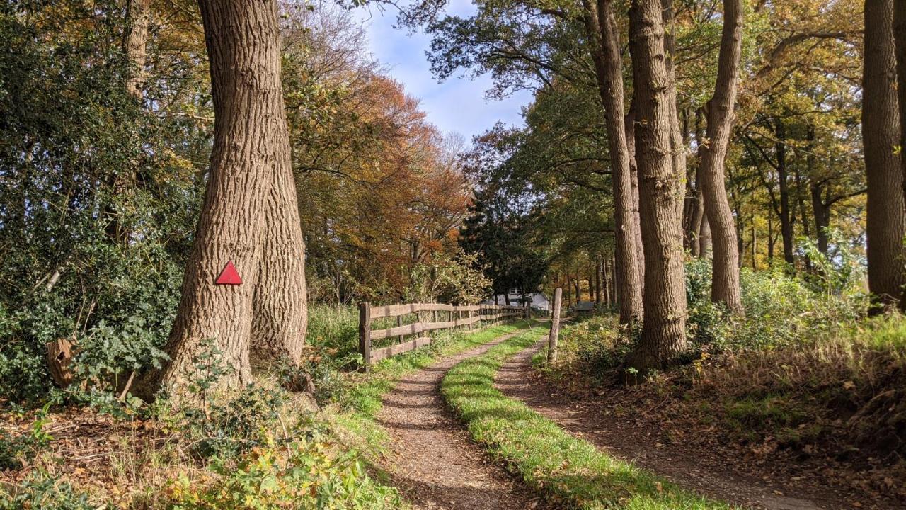 Chalet Op De Veluwe # Berk بوتِنْ المظهر الخارجي الصورة